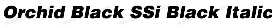 Orchid Black SSi Black Italic字体转换